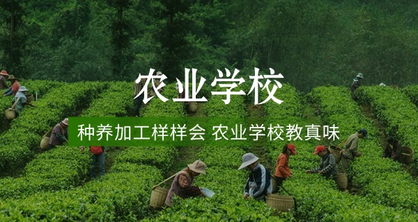 
                                    邢台市农业学校网站-邢台农业学校网站