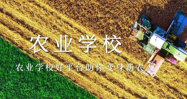 
                                    朝阳农校 技术学校官网-朝阳农校官网