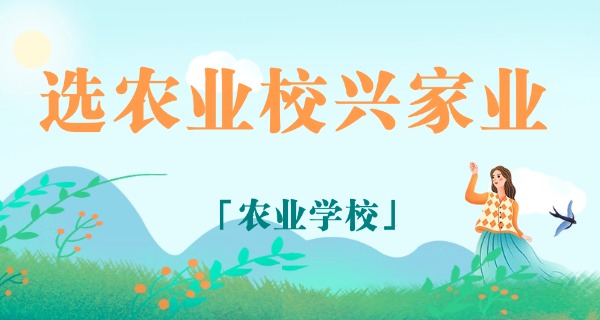 
                                    山农校园集市-山农集市